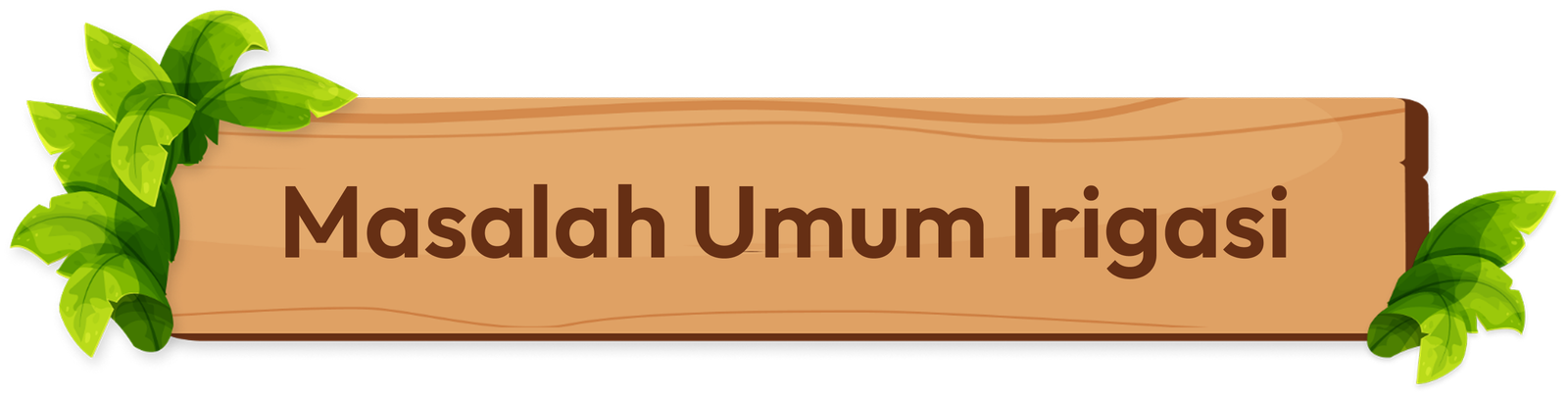 Masalah Umum Irigasi